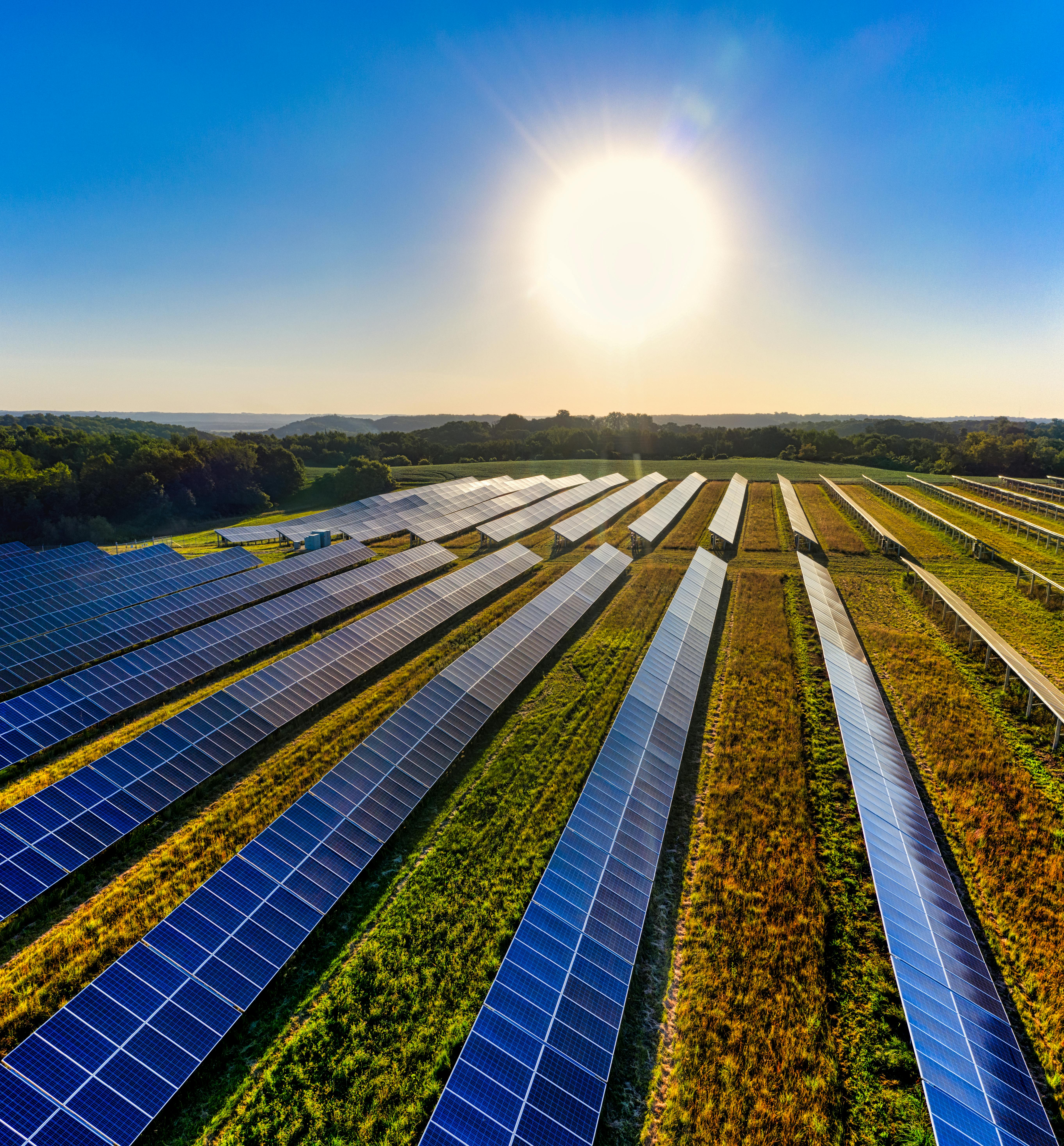 aerial photography of grass field with blue solar panels